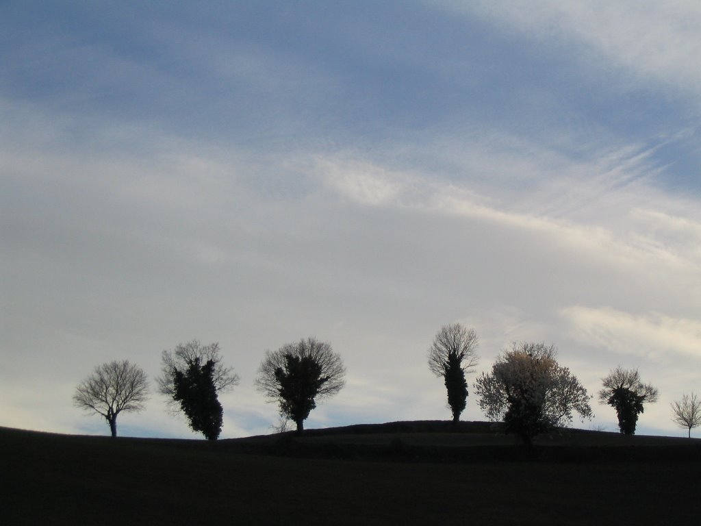 Campagna by Vinicio Cavallini