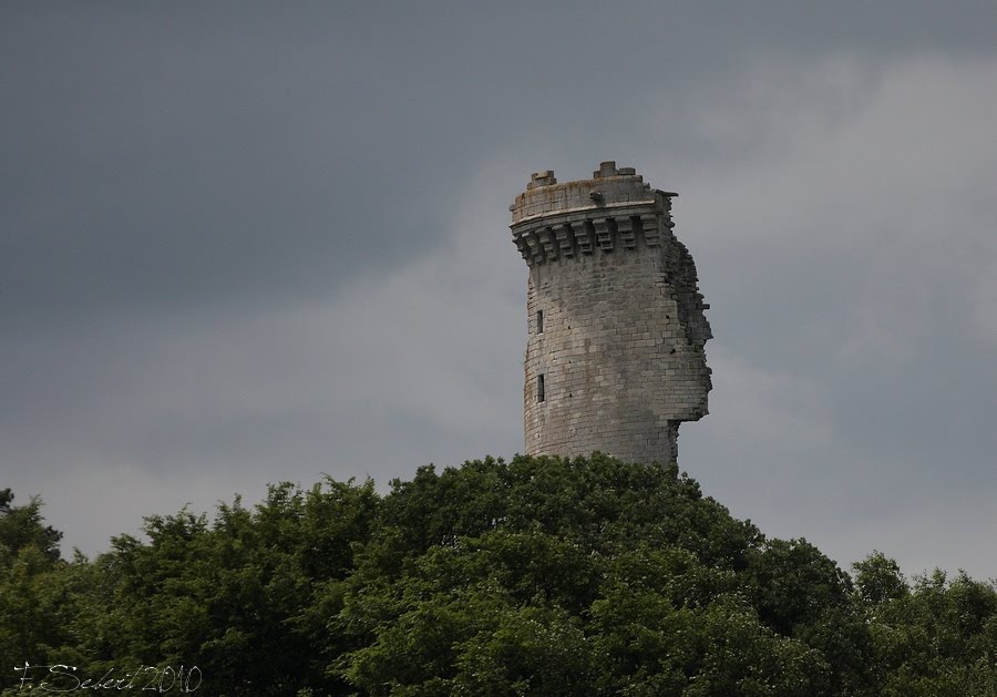 Tour Ruinée de Montépilloy depuis la route menant à Barbery by Franck Sebert