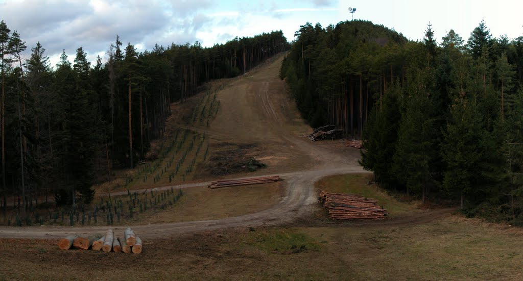 Pan. Blick auf den Heidenberg by Michael Pigler