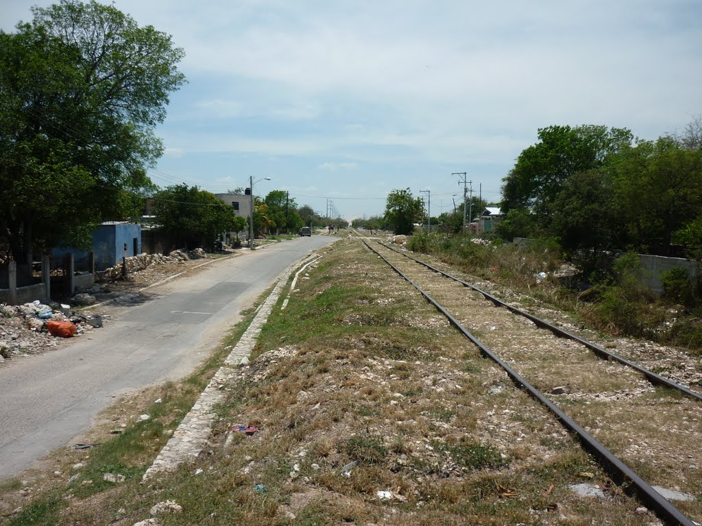 Vías Del Ferrocarril, Col. Mulsay by Harry Alberto Moreno Torres