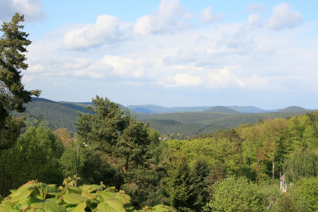 View on the Pfälzerwald in Iggelbach. by odeveld