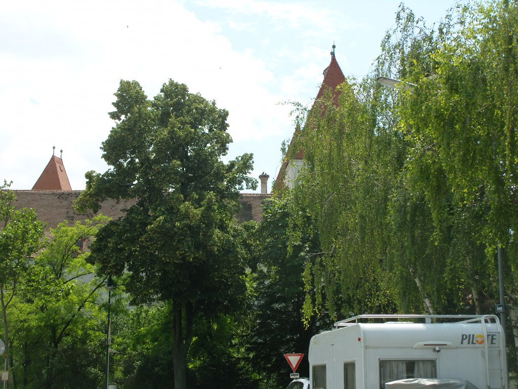 Storks Nest in Orth/Donau by asphalt