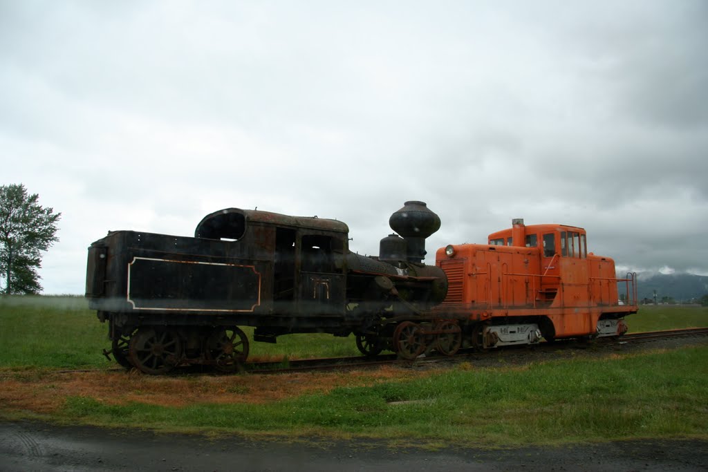 Old Train... Tillamook Oregon by fargodog