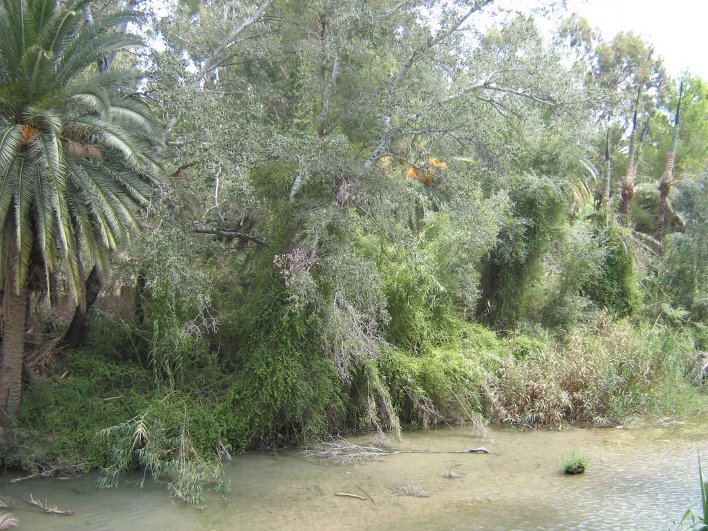 El río Segura a su paso por el Balneario de Archena (Murcia) desde la misma posición que la otra foto by brujus7