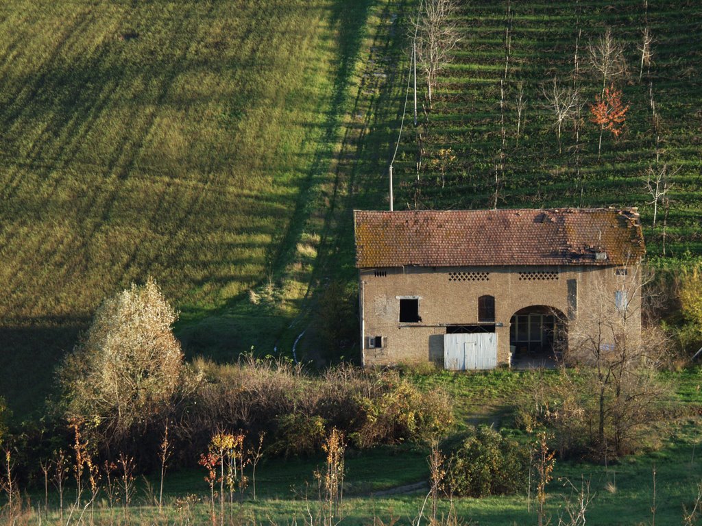 Campagna di Levizzano by Vinicio Cavallini