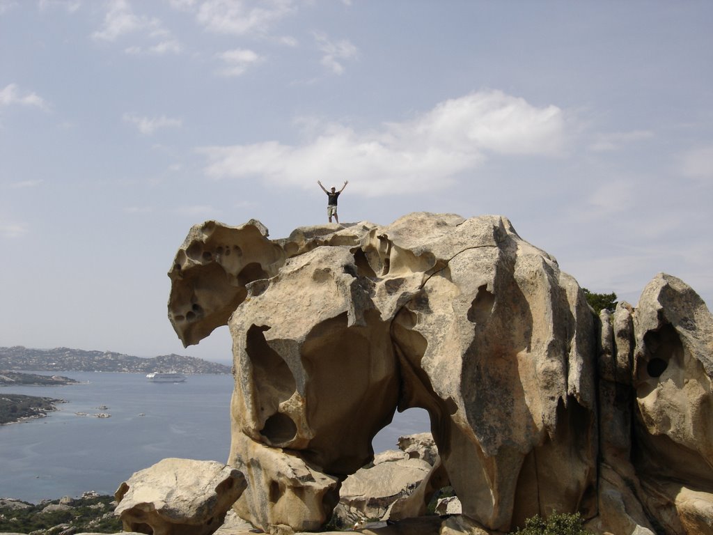 Sull'orso del Capo by aleloi