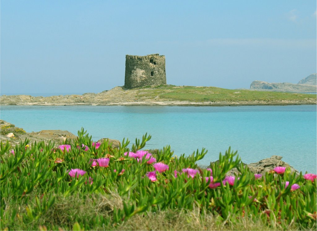 La torre della Pelosa by aleloi