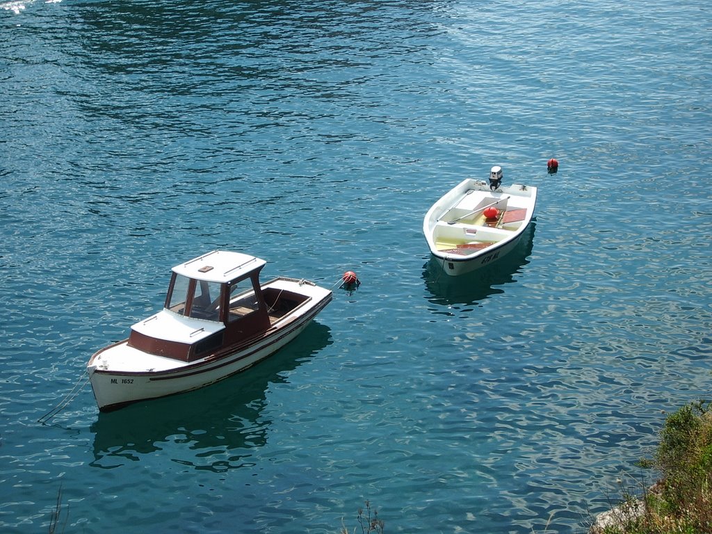 Little boats by Gino Pezzini