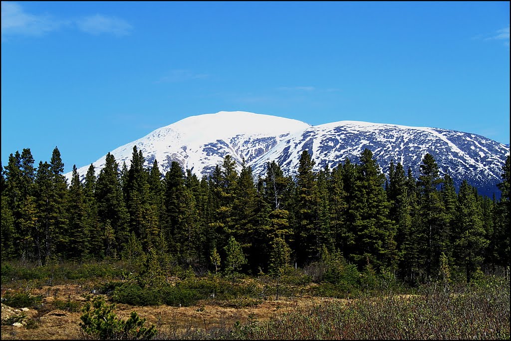 Stikine Region, British Columbia, Kanada ... C by americatramp.the2nd