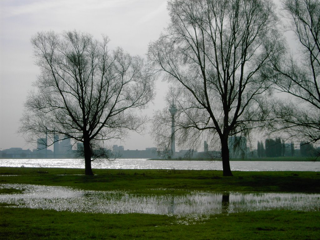 Flood in the Autumn - Duesseldorf- by giszmoe