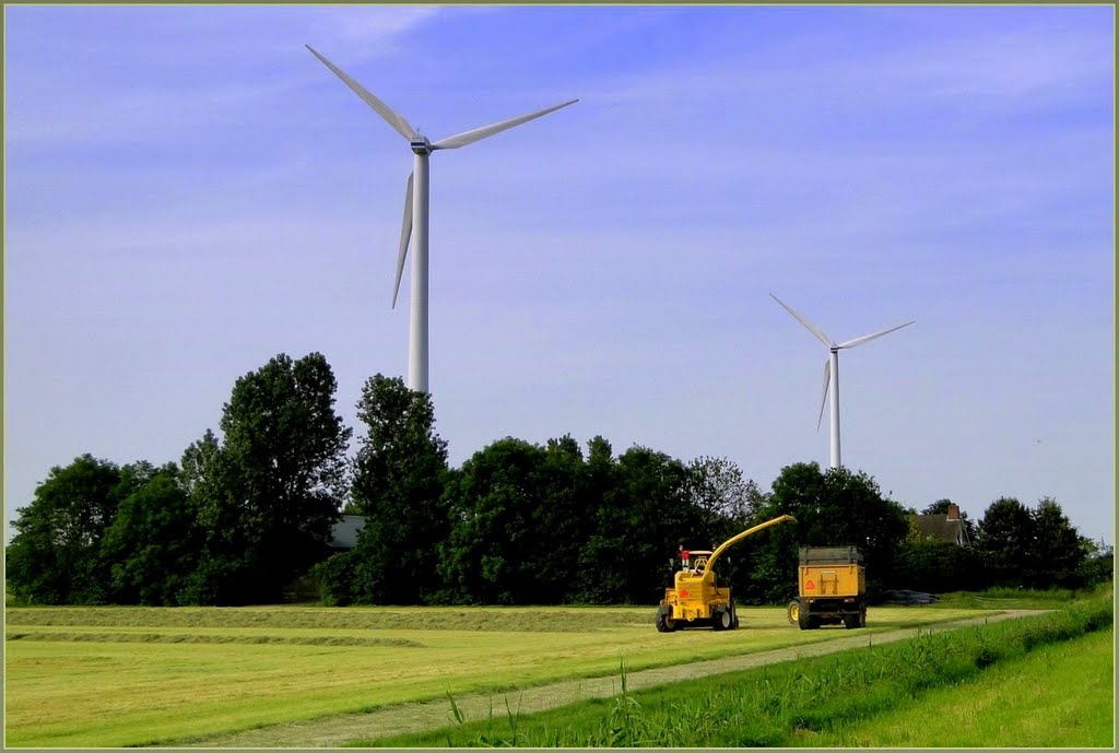 Nog even en het gras kan in de kuil. Ook hier reed het af en aan met volle hooiwagens by Chris10 ©