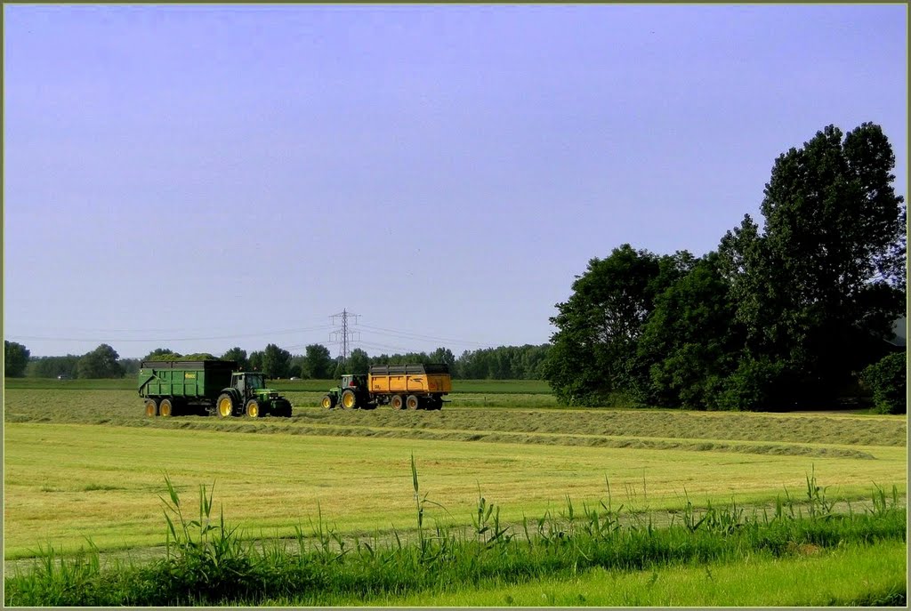 Iets modernere manier van hooien in de Flevopolder t.o.v. de Eempolder by Chris10 ©