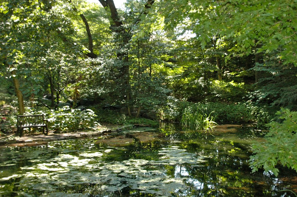 Clark Botanical Garden/Mary Fiedler Pond by dotcalm9