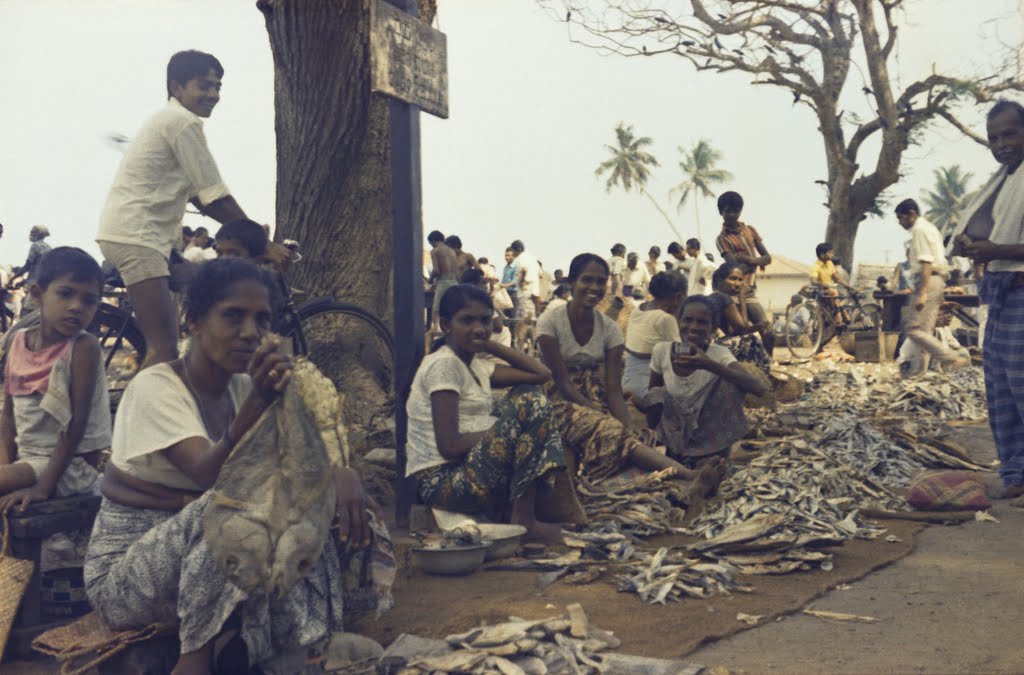 Negombo in 1976 - famous fish market 2, sellers sitting in the shadow by Andreas Czieborowski