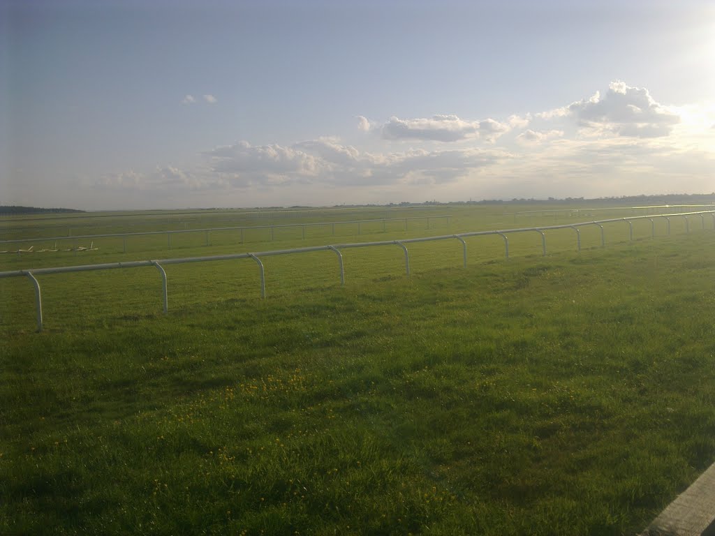 The Curragh, towards Kildare Town by Robin Pollard