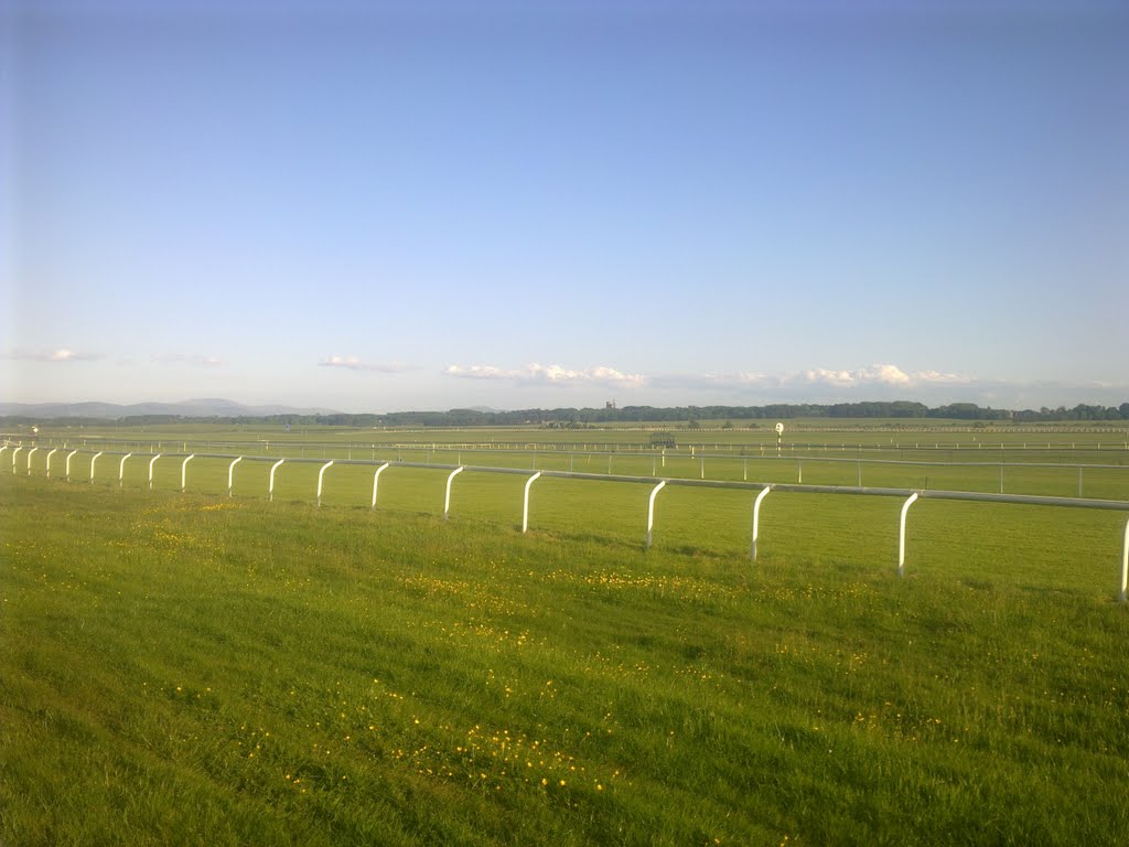 The Curragh of Kildare, towards the Army camp in the distance by Robin Pollard