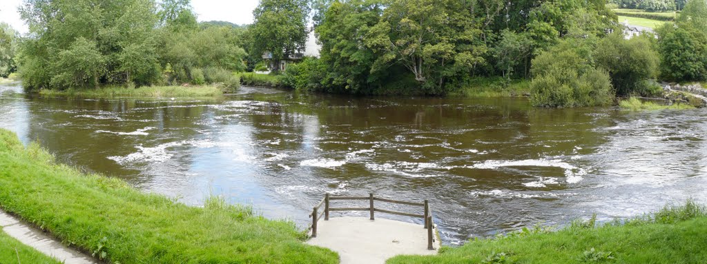 Below Cenarth Falls. by A Davies