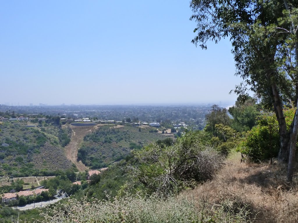 Mountain Panorama from Topanga State Park, Pacific Palisades by Alan Fogelquist