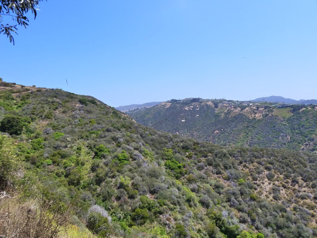 View of the Santa Monica Mountains - Topanga Canyon State Park by Alan Fogelquist