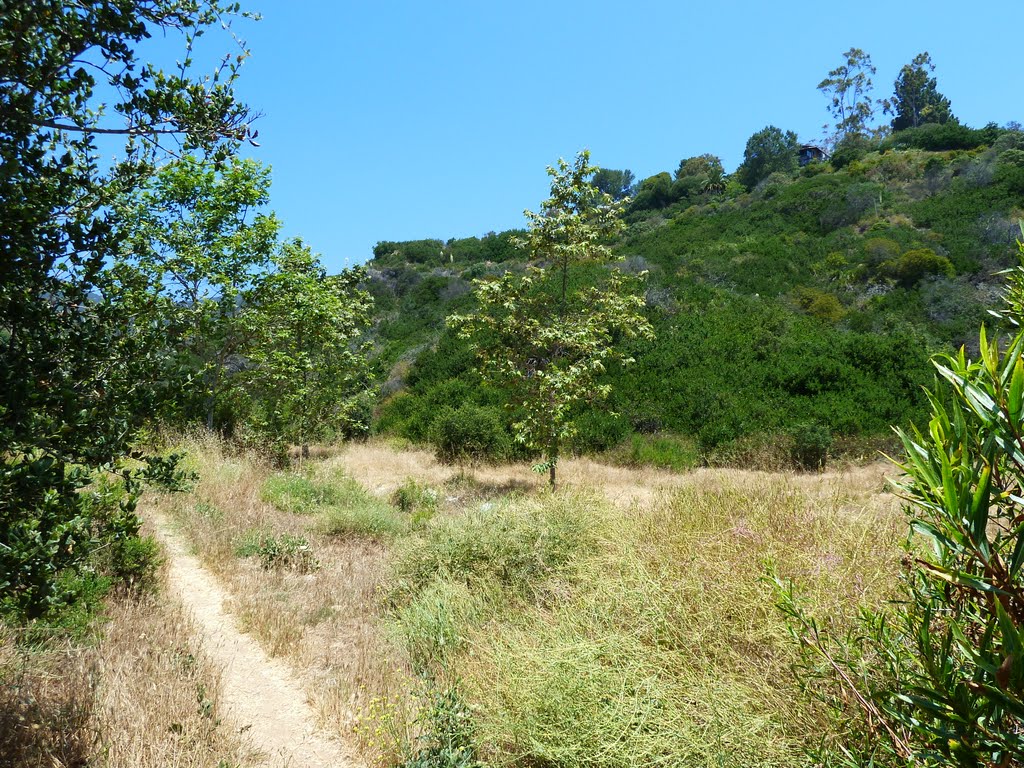 Trail at Los Liones (Leones) Canyon by Alan Fogelquist