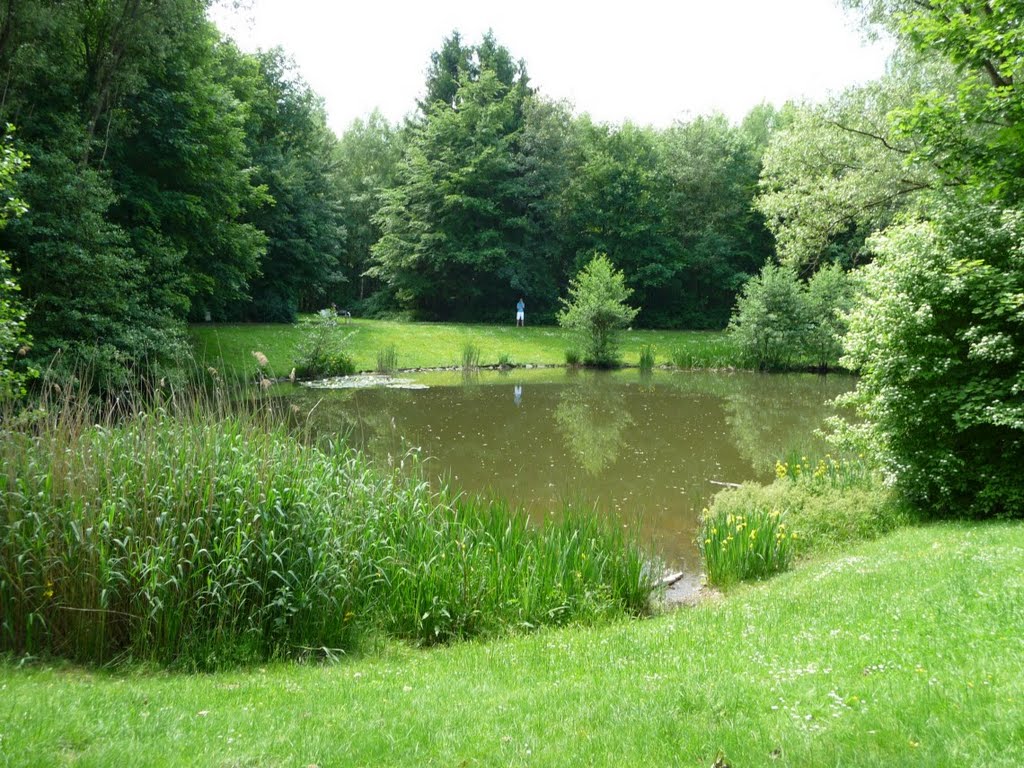 Bergisch Gladbach / Bensberg - Park - Teich - Juni 2010 by bennybo63