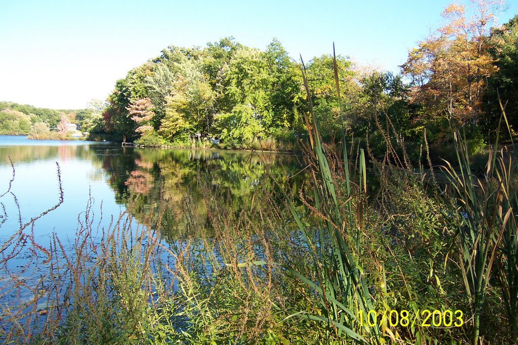 Freeman Lake by Swanbeck