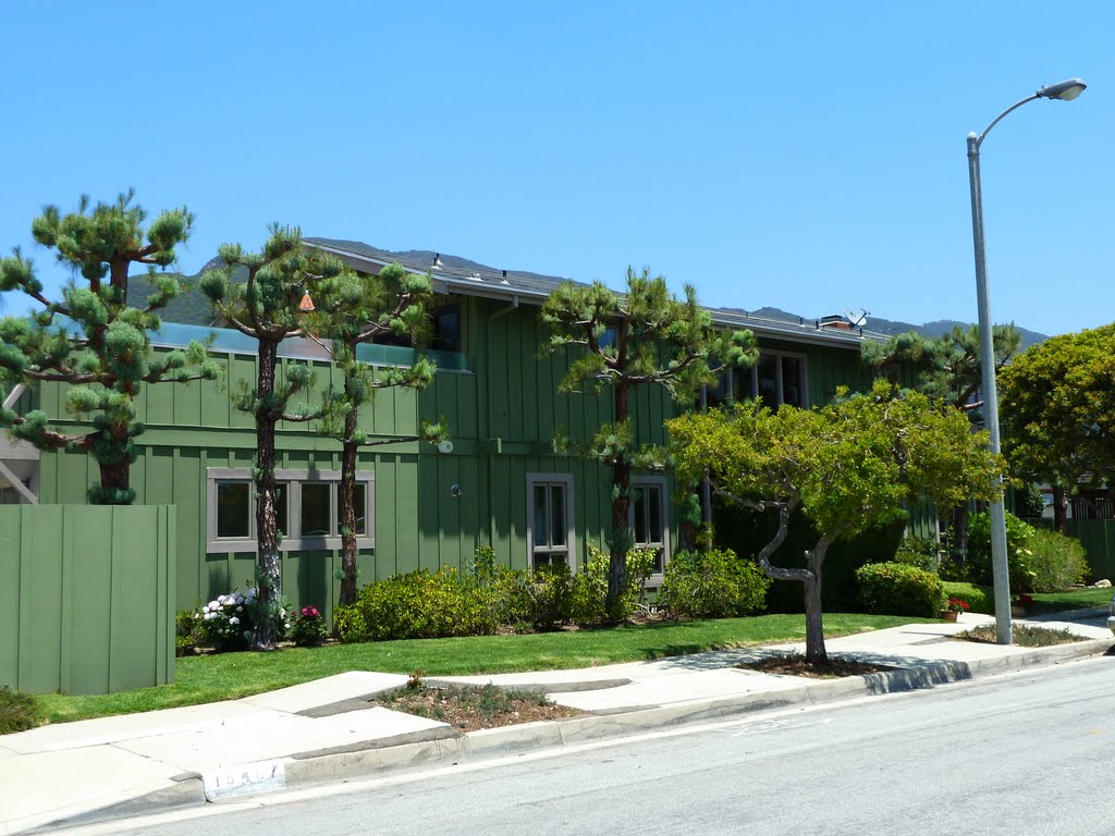 Green Architecture on Clifftop Way, Topanga Beach, Malibu by Alan Fogelquist