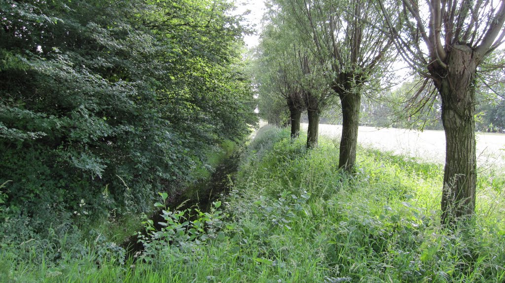 Haselhorst am Seeweg by Klantini