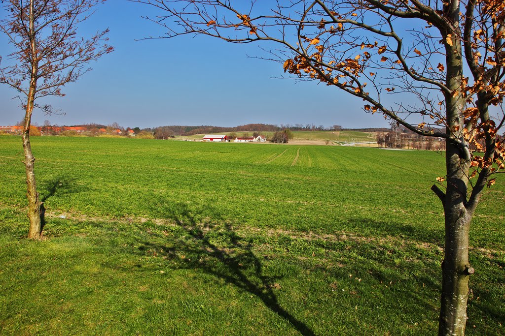 Fields at Frederiksværk (Kregme) by Finn Lyngesen flfoto.dk