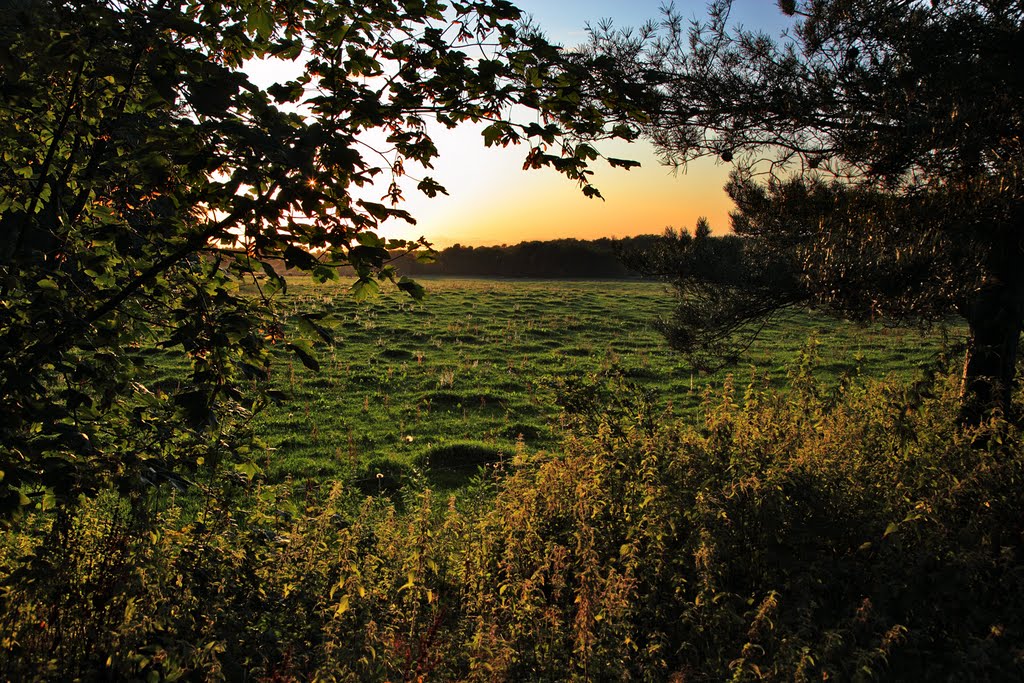 View from Marianelund at sunset by Finn Lyngesen flfoto.dk