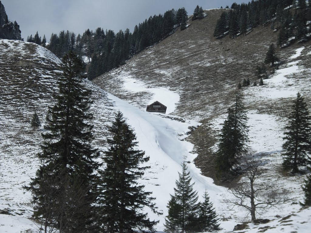 Lechneralm zu Ostern by goooglealveol64