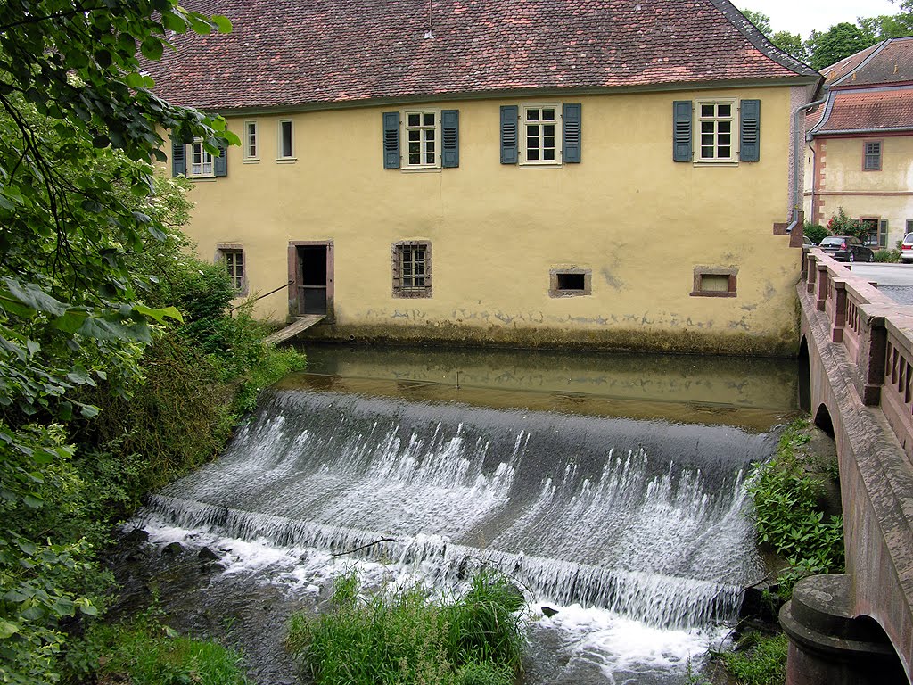 Schloss Fürstenau by Piotr Jacek Böcker