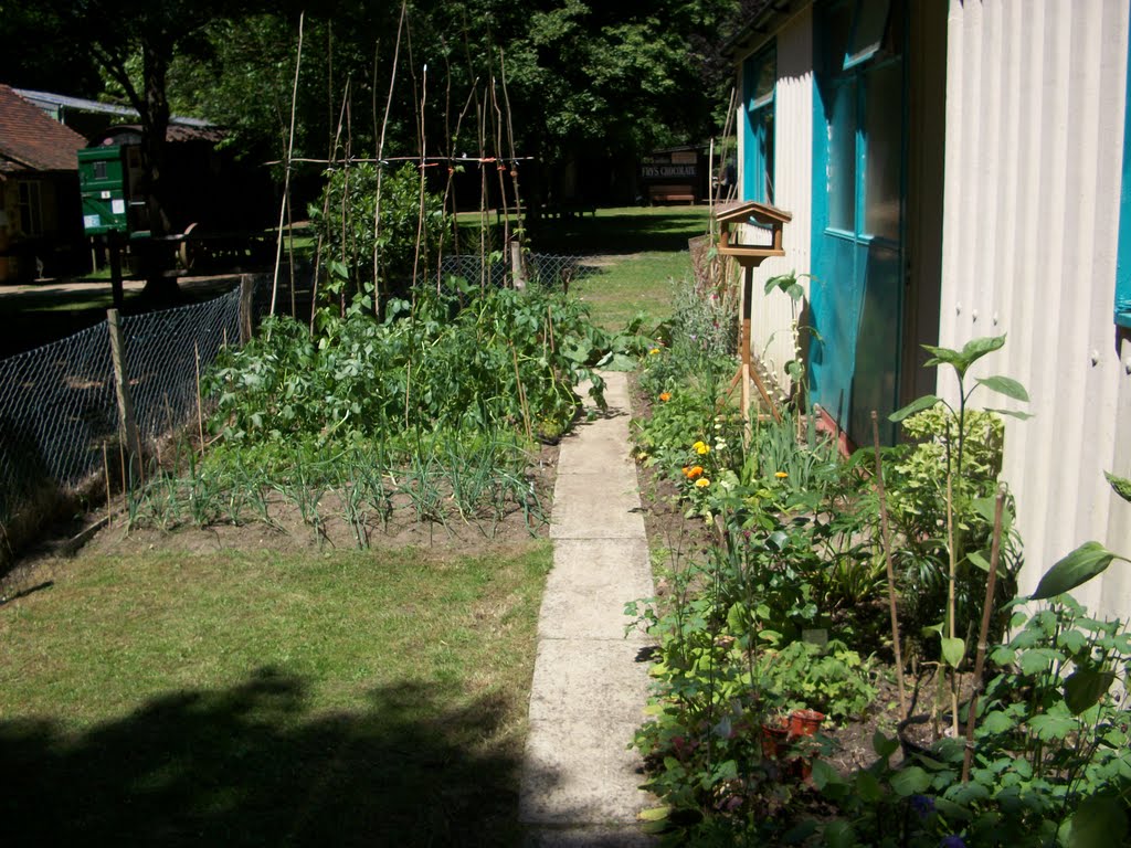 The tiny narrow garden, outside the prefab house by Robert'sGoogleEarthPictures