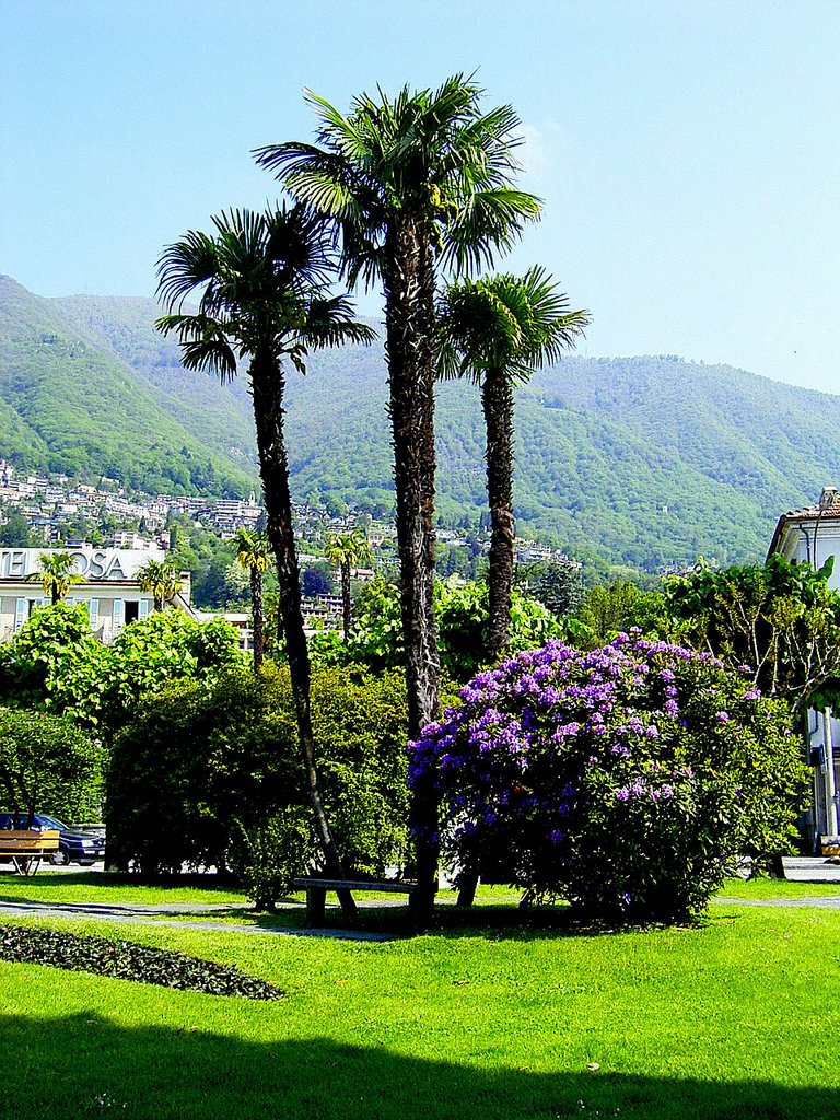 Lago maggiore 003 by Edwin Bohmüller