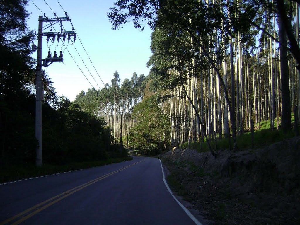 Estrada Santa Branca - Salesópolis by Gláucio Almeida