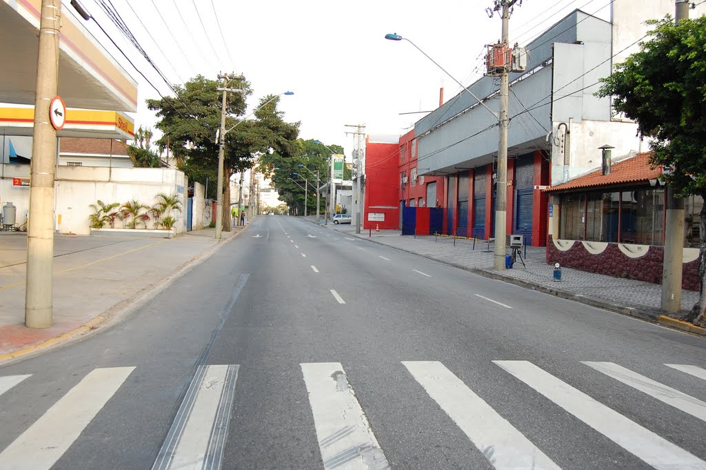 Absurdo Radar 50km/h na Avenida Goiás, São Caetano do Sul by Helmar Ferreira dos Santos