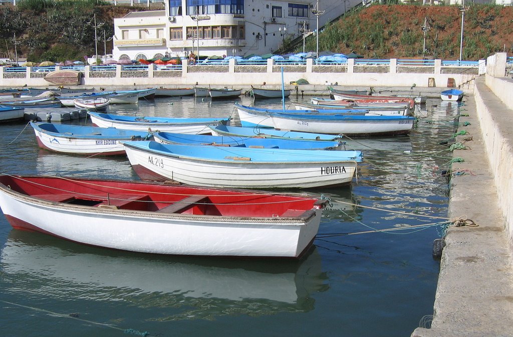 Vue sur le port d' El Djamila _2 by Salem MEZAIB