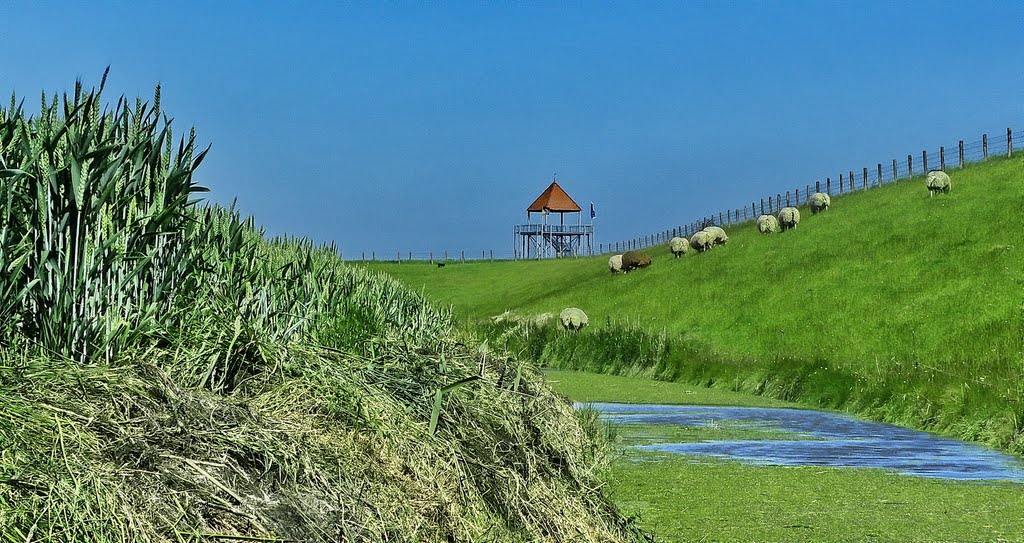 Ressurection of "HUYS te NUWENDORE"....Behind the Westfriese dijk. by Feika