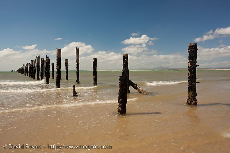 Ruined Jetty at Bridport by David Foster Images