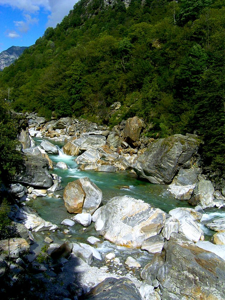 Val Verzasca by Edwin Bohmüller