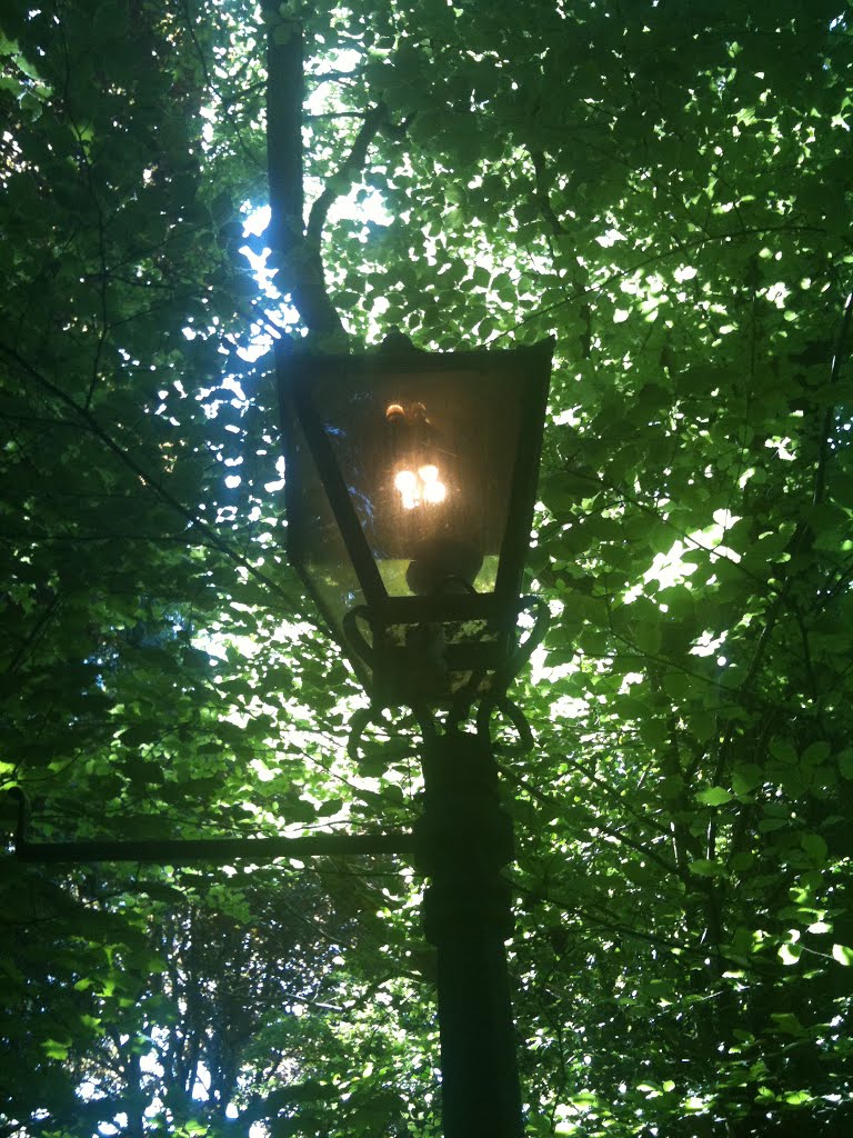 Gas Lamps on in the daytime 19.06.10 by Transition Malvern Hills