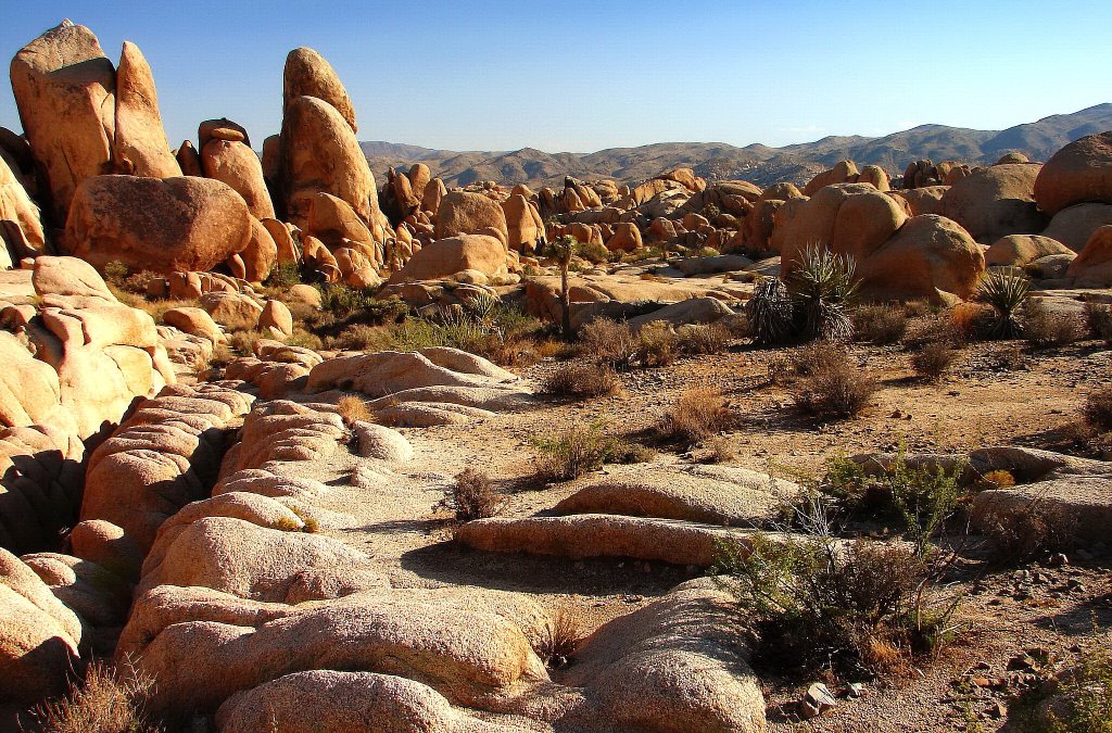 Arch Rock Nature Trail,Joshua Tree NP...C by americatramp