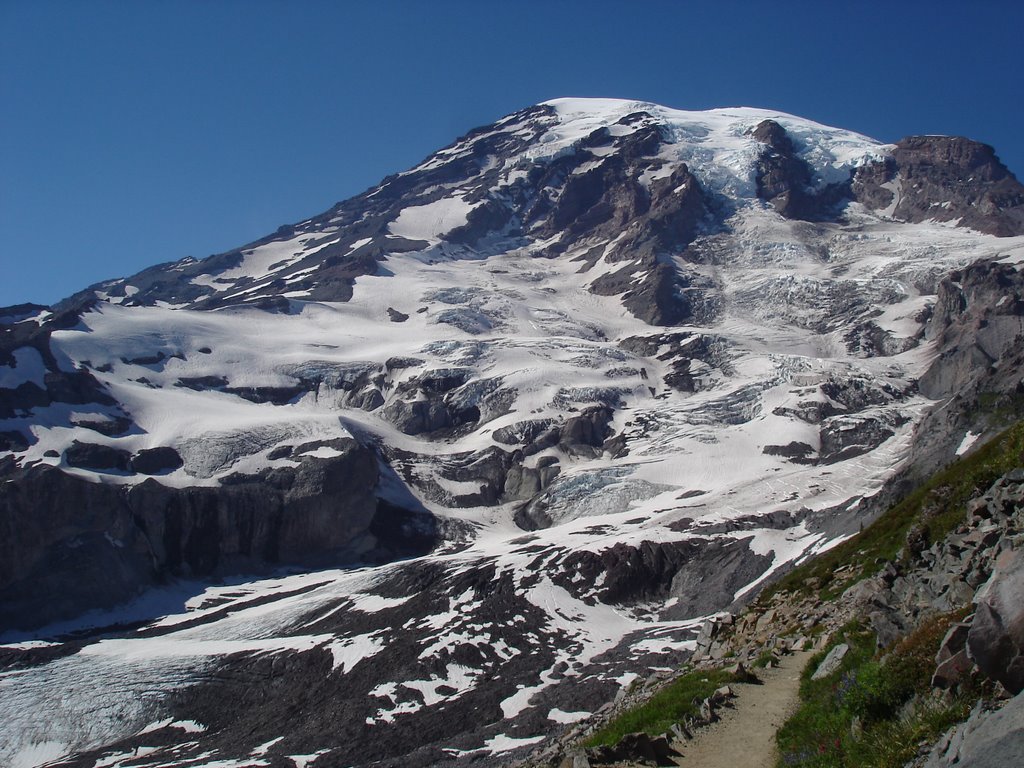 Mt. Rainier by bledjd