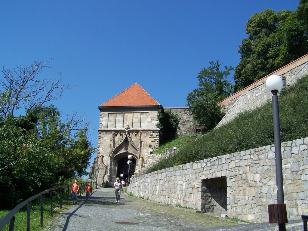 View to the Gate of Sigismund by Bibiana Papp