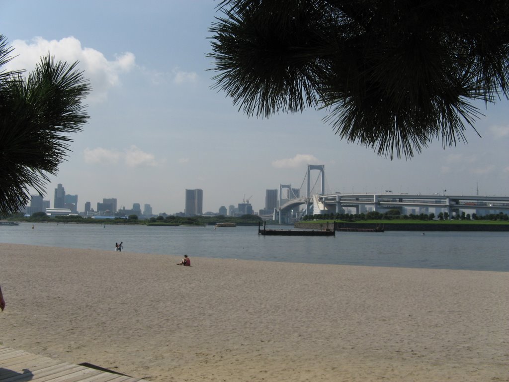 Rainbowbridge Tokio 2006 by Ernst Weidl