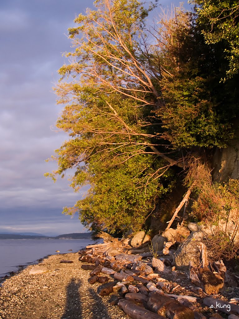 Camano Island State Park by S. King