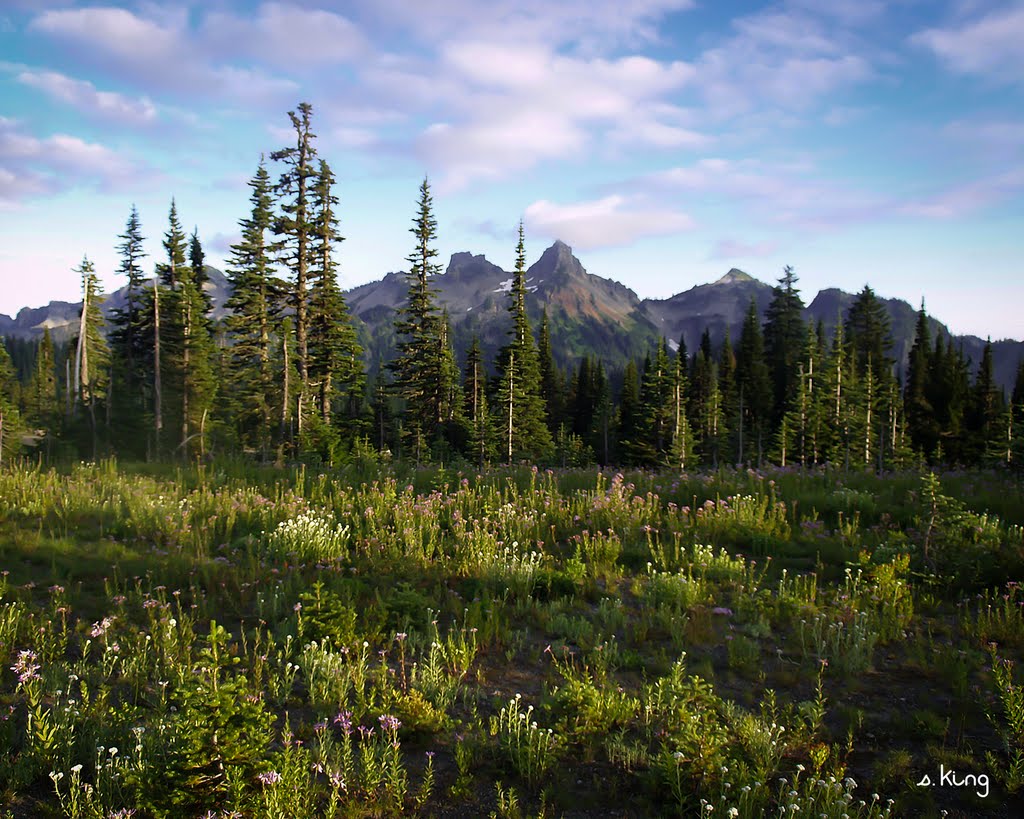 Looking South from Paradise by S. King