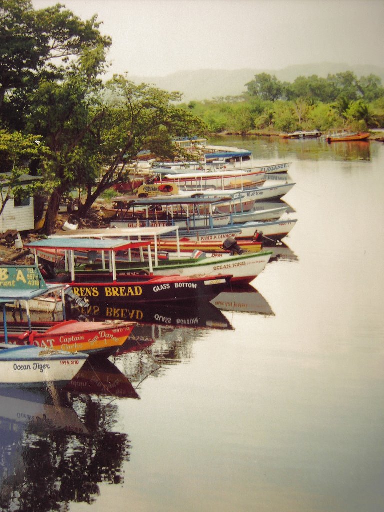 Flußmündung,Negril by wolf-vielbach