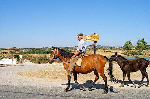 Paisagem Protegida da Albufeira do Azibo, Macedo de Cavaleiros, Portugal by Carvalho Pereira