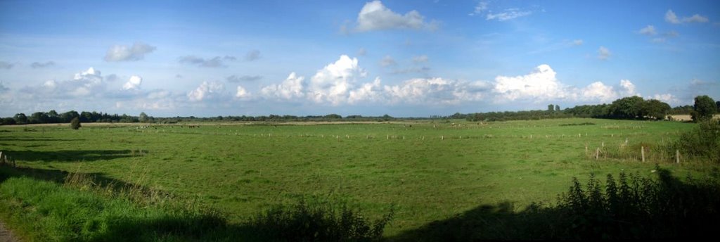 Blick über das ehemalige Süderholmer Moor, Richtung Osten by Najbaro